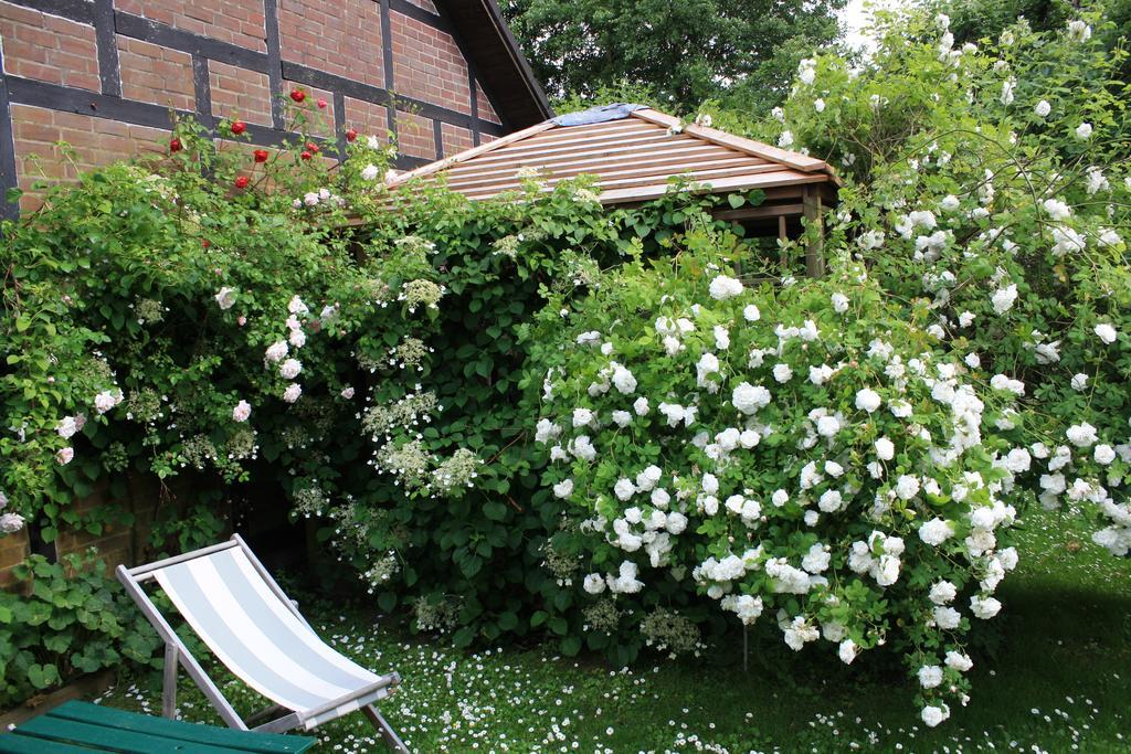 Finkeldeyschekate Apartament Timmendorfer Strand Zewnętrze zdjęcie
